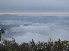 八海山からの雲海_２