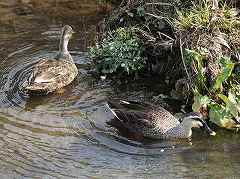 �J���K��