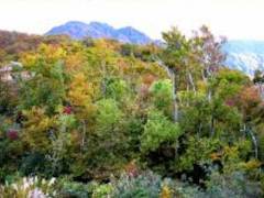 新潟「八海山」頂上展望台からの紅葉