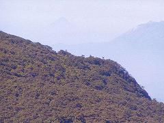 白鳥山山頂（1363.1m）から見る開聞岳（924m）