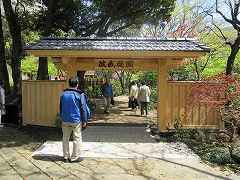 日本庭園_１